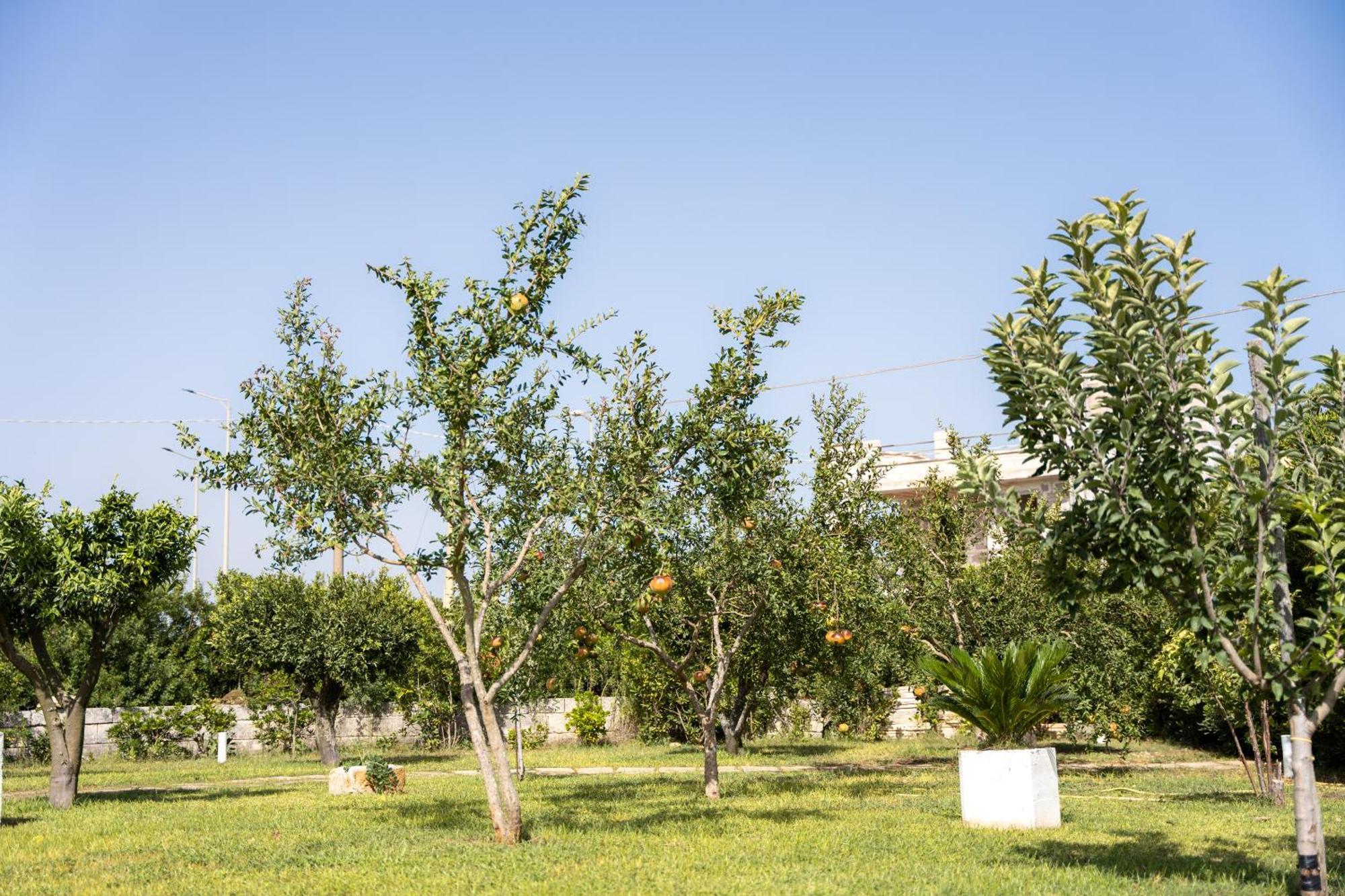 Murieri Rooms Otranto Ngoại thất bức ảnh