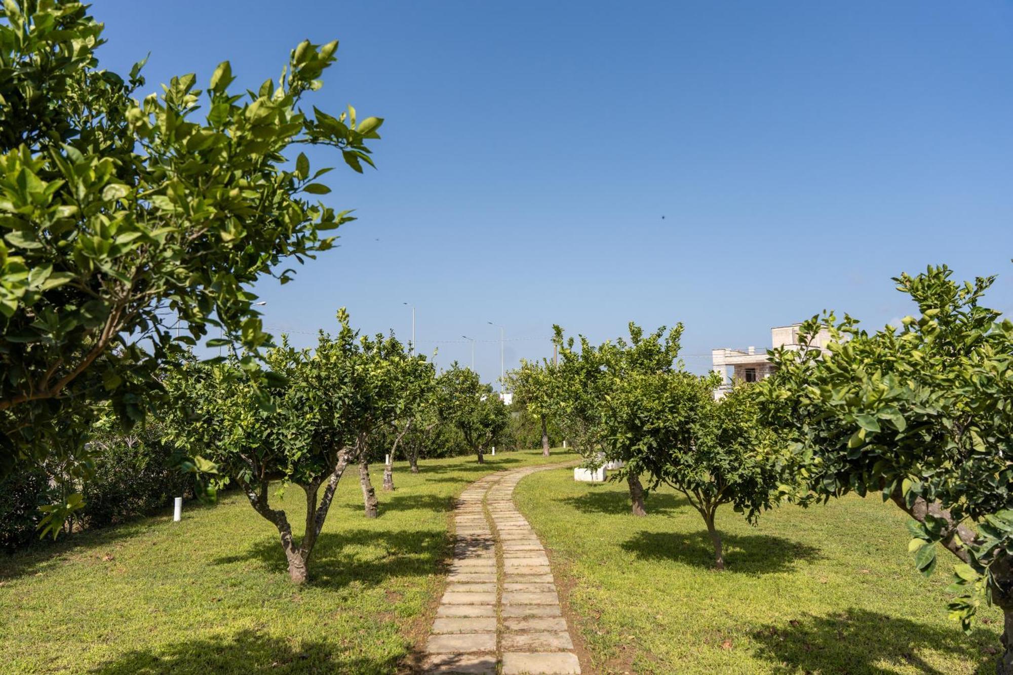Murieri Rooms Otranto Ngoại thất bức ảnh